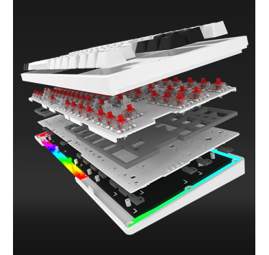 CLAVIER MÉCANIQUE AQIRYS ALUDRA TKL, RGB, 100% ANTI-GHOSTING, WHITE