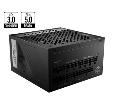 MSI ALIMENTATION MPG A1000G