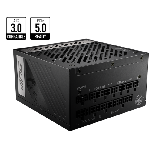 MSI ALIMENTATION MPG A1000G