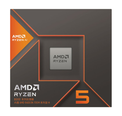 Processeur AMD RYZEN 5 8600G BOX