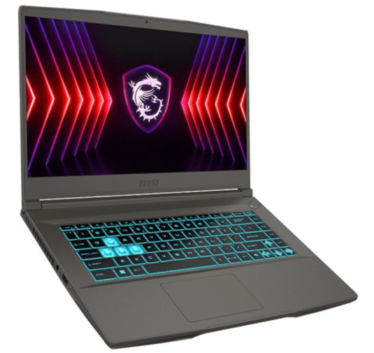 PC Portable Gamer MSI Thin 15 B13UCX i7 13è Gén 8Go RTX 2050