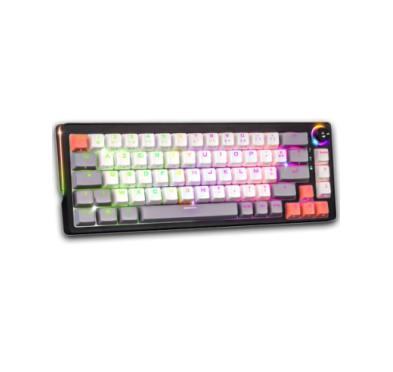 Spirit of Gamer CLAVIER XPERT K600 MECA TKL RGB SANS FIL