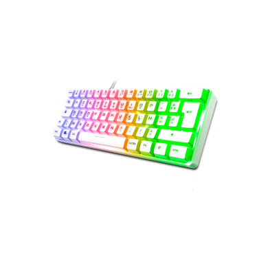 Spirit of Gamer CLAVIER PRO K2 ARTIC TKL RGB USB (Blanc)