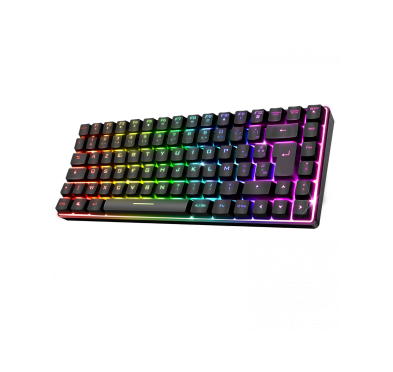 Spirit of Gamer CLAVIER ELITE-K70 WIRELESS