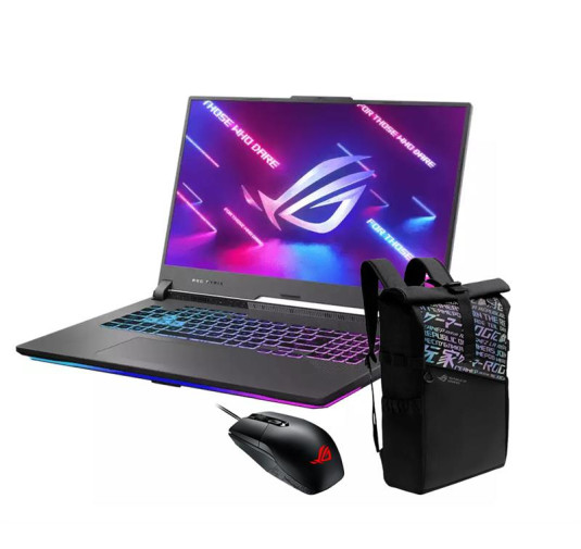 Asus ROG Strix G713PV-LL188W, R9-7845HX, 16G, 1 To SSD, RTX 4060, 17.3"