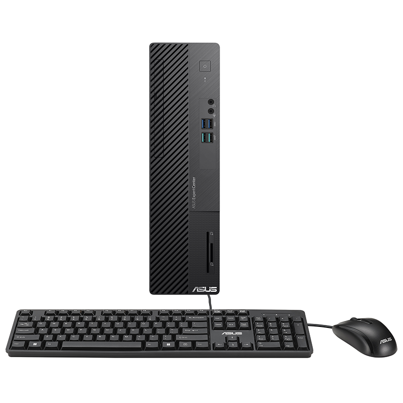ASUS EXPERT CENTRE D500SER