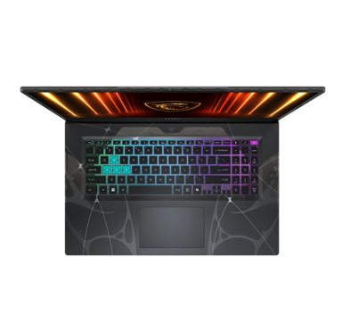 Pc Portable Gamer msi Cyborg 17 B2RWFKG-043XFR, intel core 7-240H, 8G, RTX5060, FreeDos, 1 An