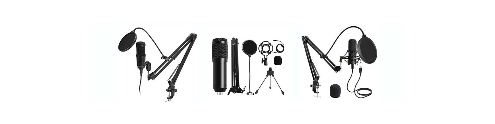 Microphone