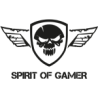 Spirit of gamer